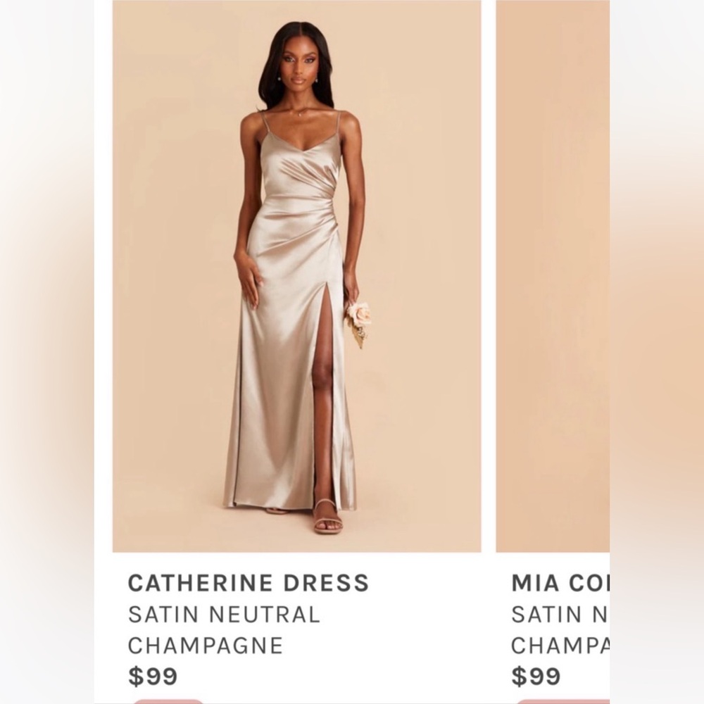 Birdy Grey Catherine dress in Champagne size XS